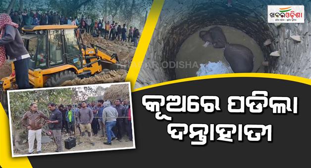 Khabar Odisha:elephant-falls-into-well-Forest-Department-rescues-it-after-6-hour-operation