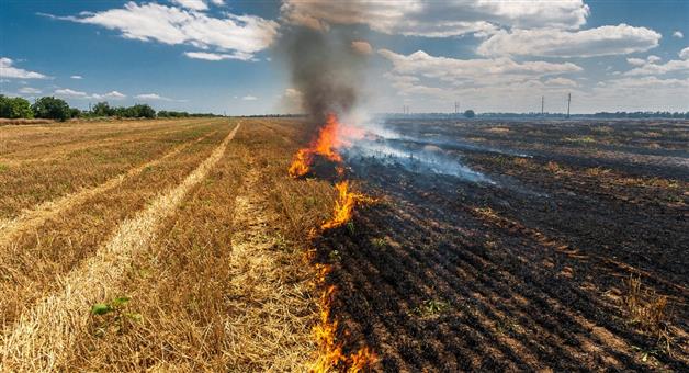 Khabar Odisha:environment-ministry-brings-new-rules-for-burning-stubble