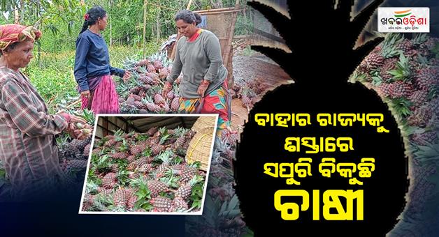 Khabar Odisha:farmer-demand-cold-storage-in-gajapati