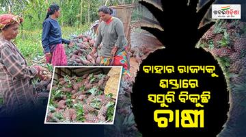 Khabar Odisha:farmer-demand-cold-storage-in-gajapati