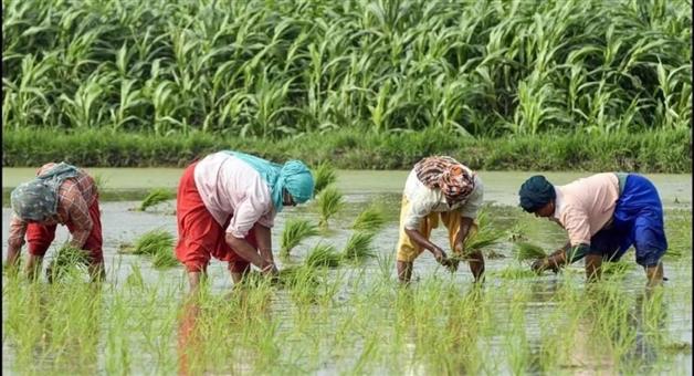 Khabar Odisha:farmer-registration-period-to-be-extended