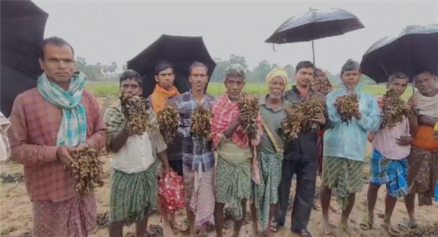 Khabar Odisha:farmers-crops-destroy-for-rain