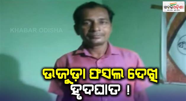 Khabar Odisha:farmers-dies-in-heart-attack-after-seeing-the-paddy