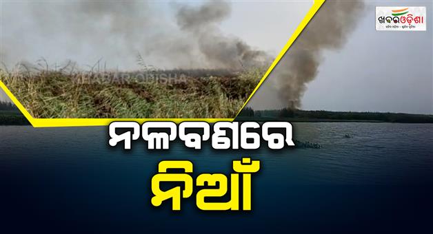 Khabar Odisha:fire-at-chilika-nalabana-somany-forest-burned