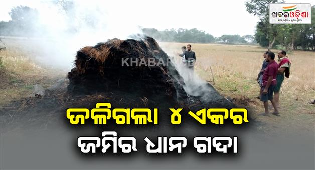 Khabar Odisha:fire-in-paddy-field-at-balangir-dist