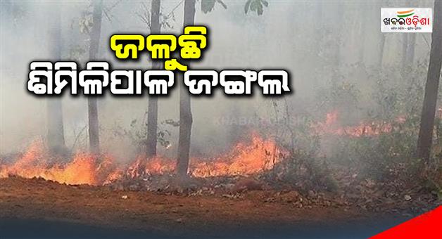 Khabar Odisha:fire-in-similipal-forest