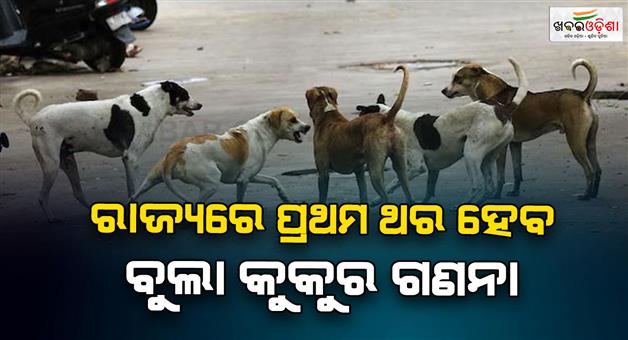 Khabar Odisha:first-ever-stray-dog-census-in-the-state-process-to-run-from-17th-to-24th-in-bhubaneswaR