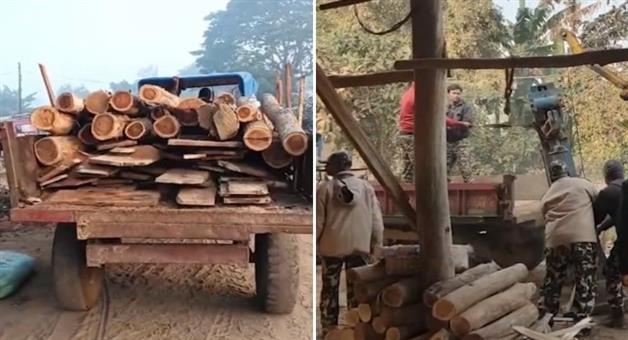 Khabar Odisha:forest-department-raids-6-illegal-sawmills-in-puri-seizes-timber-worth-lakhs