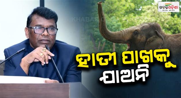 Khabar Odisha:forester-minister-advices-to-keep-distance-from-elephant
