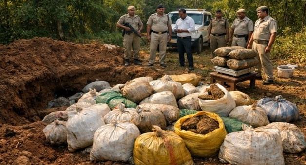 Khabar Odisha:gajapati-police-unearth-cannabis-worth-rs-2-crore