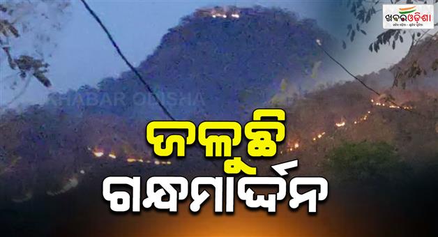 Khabar Odisha:gandhamardan-is-burning-demand-for-attention