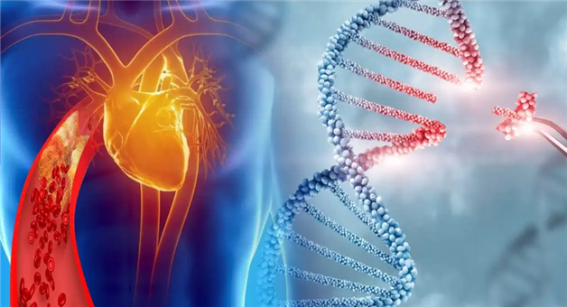 Khabar Odisha:gene-therapy-verve-102-high-cholesterol-heart-patients-treatment-eli-lilly