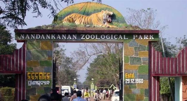 Khabar Odisha:good-news-for-visitors-nandankanan-zoo-to-remain-open-on-raja-sankranti
