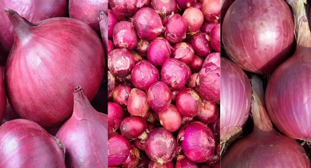 Khabar Odisha:government-increases-onion-procurement-price-relief-for-farmers
