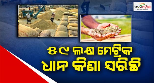 Khabar Odisha:government-releases-paddy-procurement-data-59-lakh-metric-tonnes-of-paddy-has-been-procured-till-today