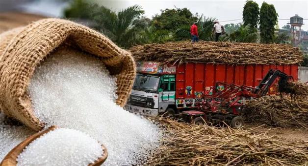 Khabar Odisha:government-tightens-sugar-import-rules-amid-rising-prices