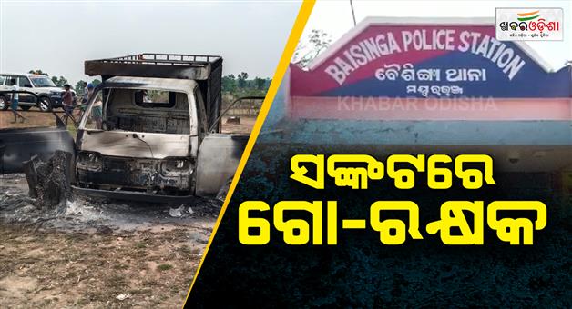 Khabar Odisha:gun-firing-on-cow-savers-at-baisinga