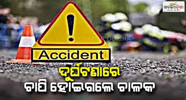 Khabar Odisha:haiwa-collides-with-tree