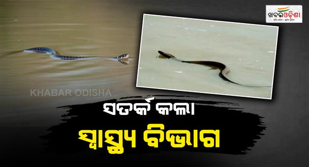 Khabar Odisha:health-services-in-7-flood-affected-districts-96-snakebite-cases-reported