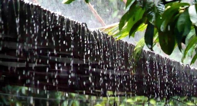 Khabar Odisha:heavy-rain-and-thunderstorms-likely-to-continue-in-odisha-till-july-25-imd