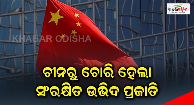 Khabar Odisha:hina-deports-a-foreigner-for-theft-of-thousands-of-protected-plant-species