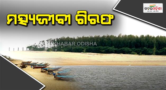 Khabar Odisha:httpsodishasambadin34-arrested-due-to-illegal-fishing-in-gahirmatha