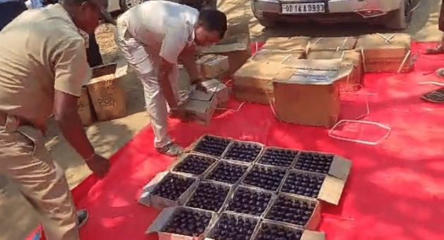 Khabar Odisha:huge-cache-of-cough-syrup-seized-driver-escapes-two-held