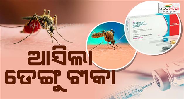 Khabar Odisha:india-approves-first-dengue-vaccine-qdenga
