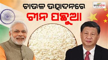 Khabar Odisha:india-became-the-king-of-rice-production-in-the-world