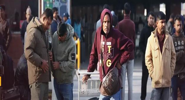 Khabar Odisha:indian-deaths-in-gulf-countries-mea-report