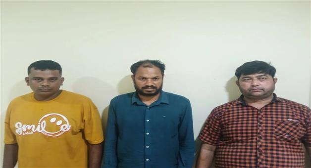 Khabar Odisha:interstate-ganja-smuggling-racket-busted-stf-arrests-three-odisha-based-traffickers