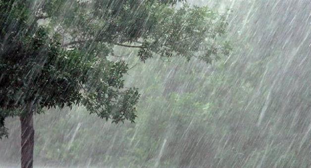 Khabar Odisha:kalahandi-rayagada-nabarangpur-sees-more-than-200mm-rainfall-in-last-24-hours