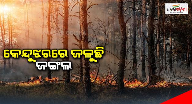Khabar Odisha:keonjhar-forest-fire