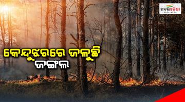 Khabar Odisha:keonjhar-forest-fire