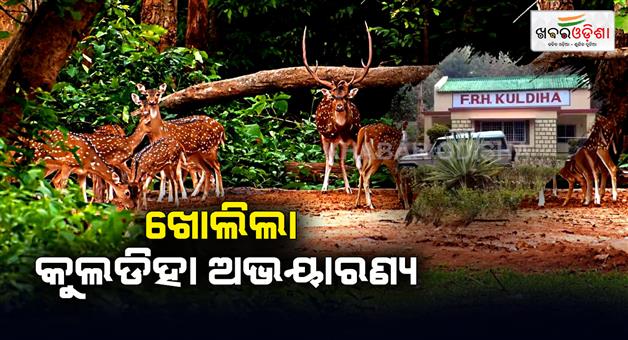 Khabar Odisha:kuldiha-sanctuary-opened-today