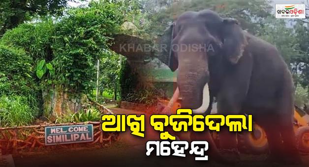 Khabar Odisha:kumki-elephant-mahendra-dies-at-similipal-national-park