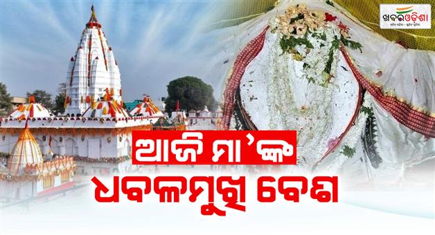 Khabar Odisha:maa-samaleswaris-dhabalamukhi-besha