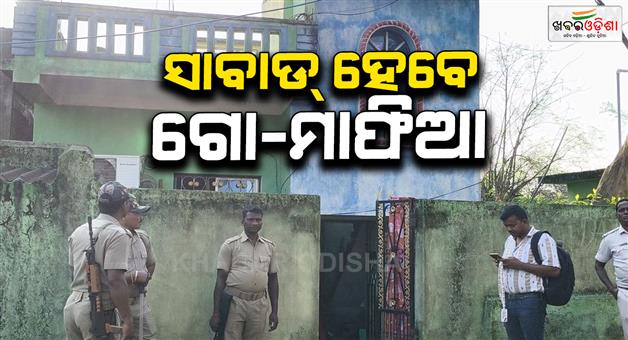 Khabar Odisha:major-operation-against-cow-mafias-police-raids-36-places-of-3-districts
