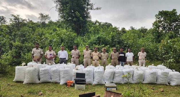 Khabar Odisha:malkangiri-police-seize-1500-kg-ganja-worth-rs-1-5-crore