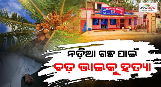 Khabar Odisha:man-killed-over-coconut-tree-dispute-in-odishas-balasore-hunt-on-for-younger-brother