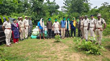 Khabar Odisha:manamunda-police-arrest-7-ganja-smugglers