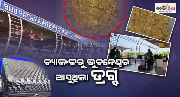 Khabar Odisha:marijuana-worth-rs-4-crore-seized-at-bhubaneswar-airport-two-detained