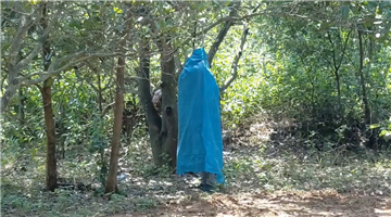 Khabar Odisha:married-man-and-minor-girl-found-in-hanging-situation-in-padapahandi