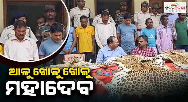 Khabar Odisha:mayurbhanj-interstate-baghchal-racket-busted-fatalShocking-information-found-on-their-phone