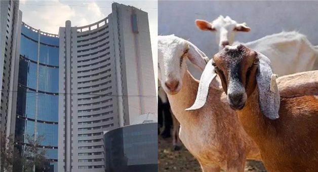 Khabar Odisha:mcd-cancels-nehru-hill-park-permission-illegal-goat-market-delhi