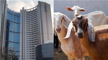 Khabar Odisha:mcd-cancels-nehru-hill-park-permission-illegal-goat-market-delhi