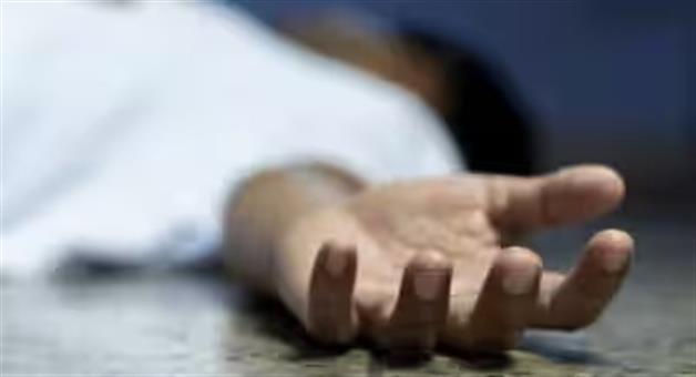 Khabar Odisha:minor-boy-dies-after-coconut-falling-on-his-head