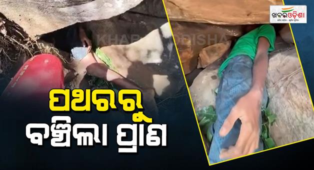 Khabar Odisha:minor-rescued-from-stone-in-nayagarh