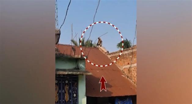 Khabar Odisha:monkey-attack-leaves-over-10-injured-in-odisha-village