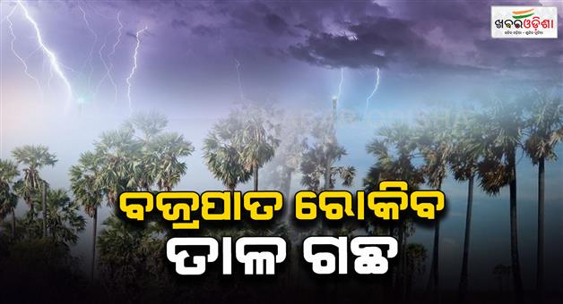 Khabar Odisha:more-lives-are-lost-to-lightning-than-to-cyclones-1700-deaths-in-the-last-5-years-in-odisha